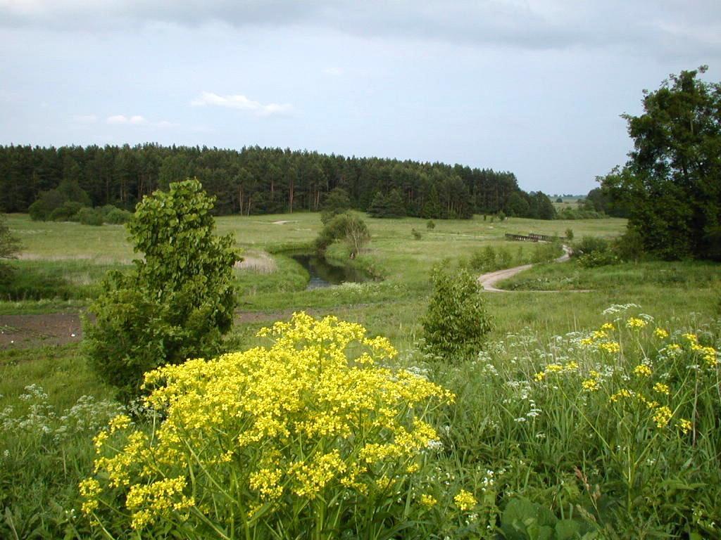 Palac Wojciechy ภายนอก รูปภาพ